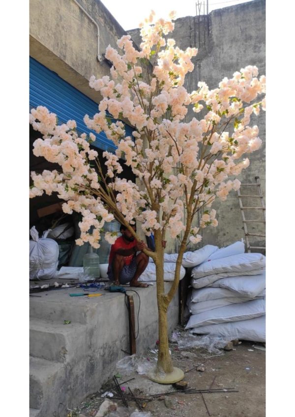 READYMADE BIG PLANTS