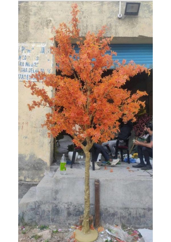 READYMADE BIG PLANTS