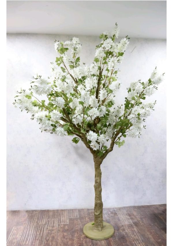 READYMADE BIG PLANTS