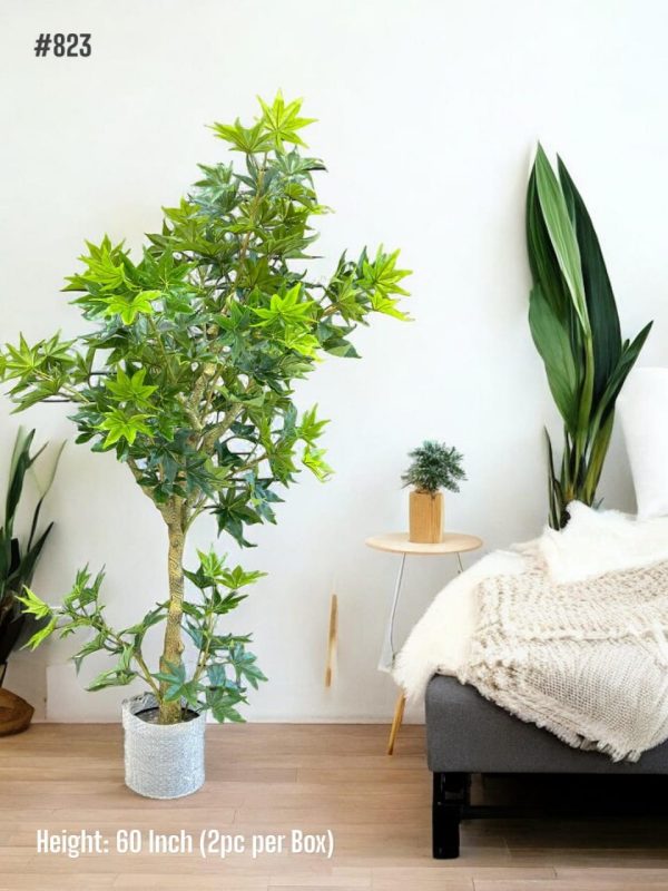 PLANTS AND PLANTERS