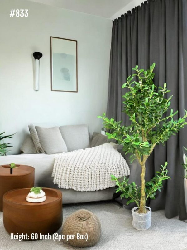 PLANTS AND PLANTERS