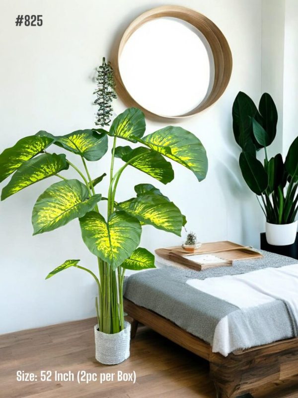 PLANTS AND PLANTERS