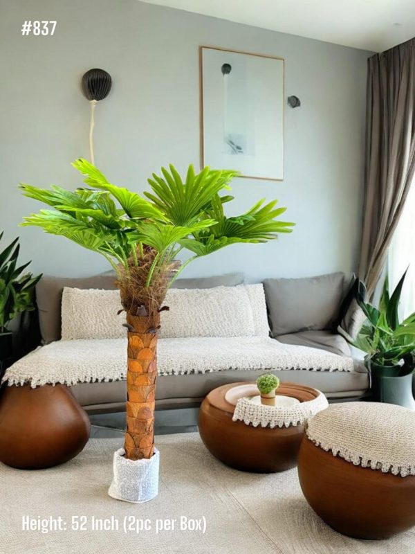 PLANTS AND PLANTERS