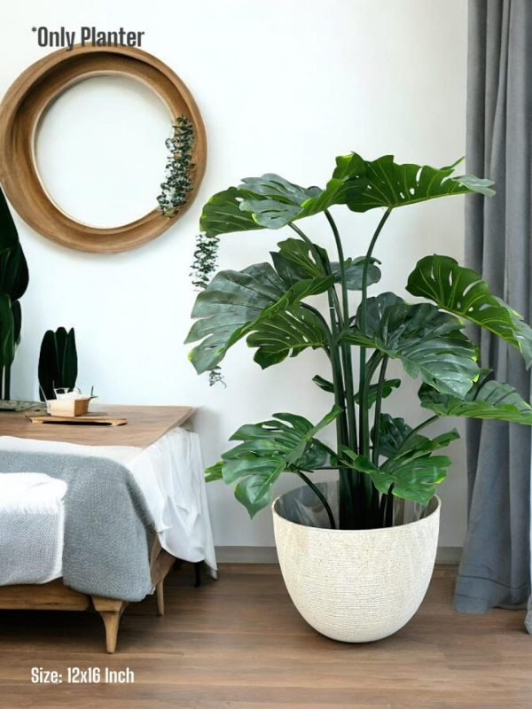PLANTS AND PLANTERS