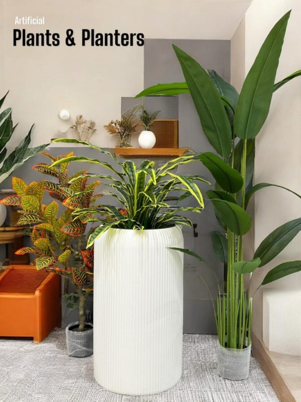 PLANTS AND PLANTERS