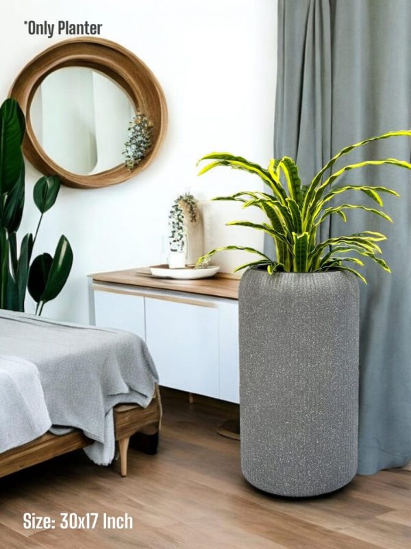 PLANTS AND PLANTERS