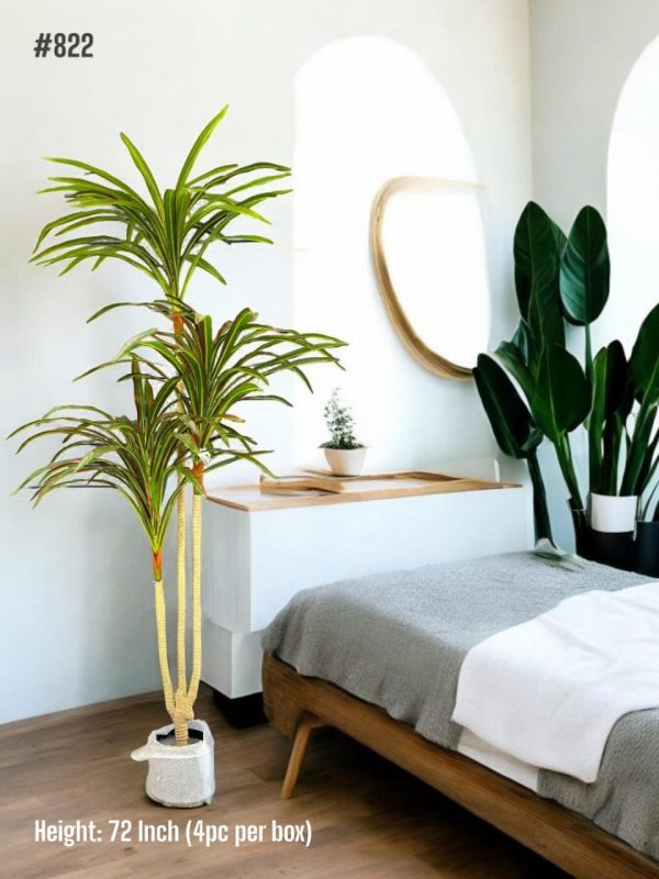 PLANTS AND PLANTERS