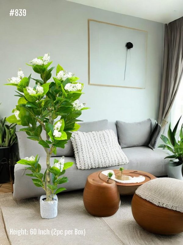 PLANTS AND PLANTERS