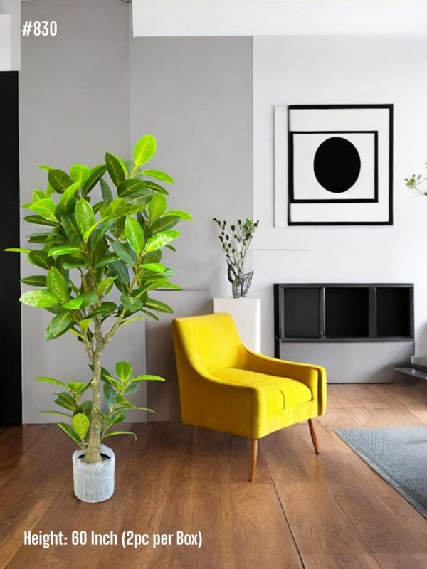 PLANTS AND PLANTERS
