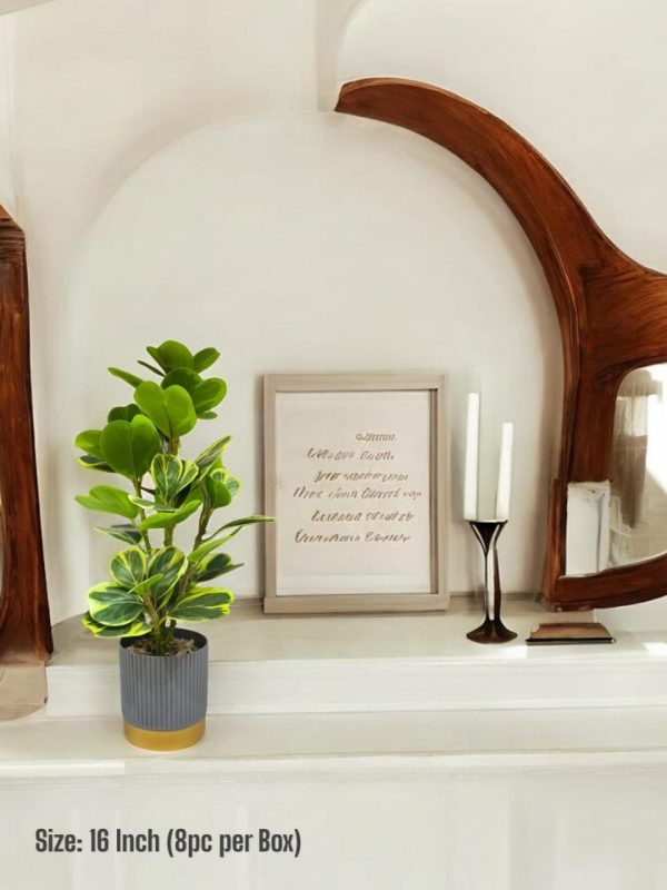 PLANTS AND PLANTERS