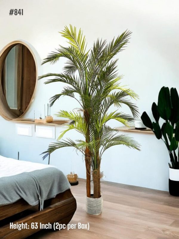 PLANTS AND PLANTERS
