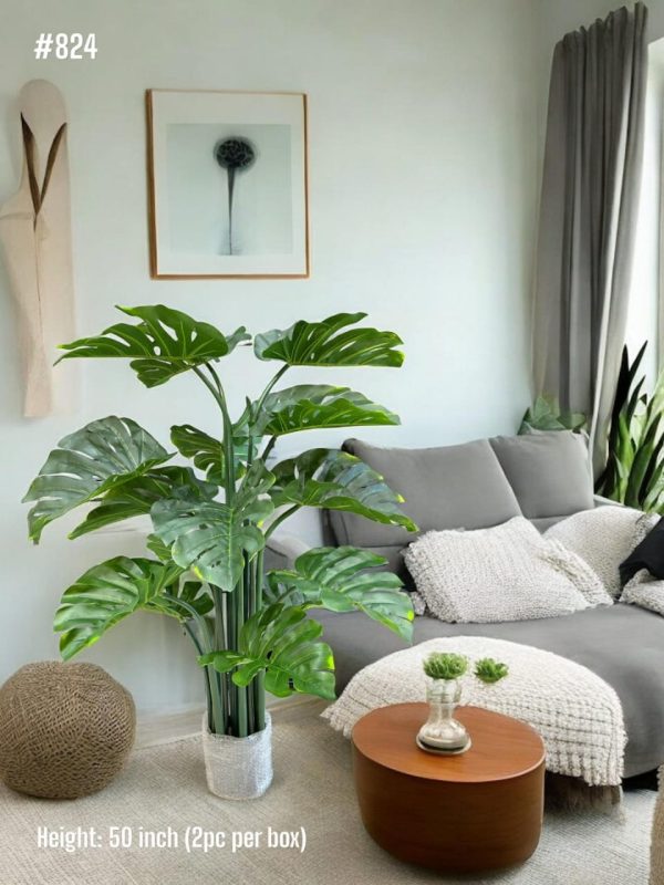 PLANTS AND PLANTERS