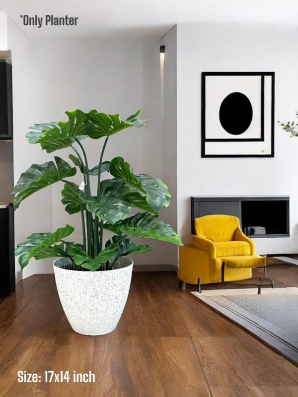 PLANTS AND PLANTERS