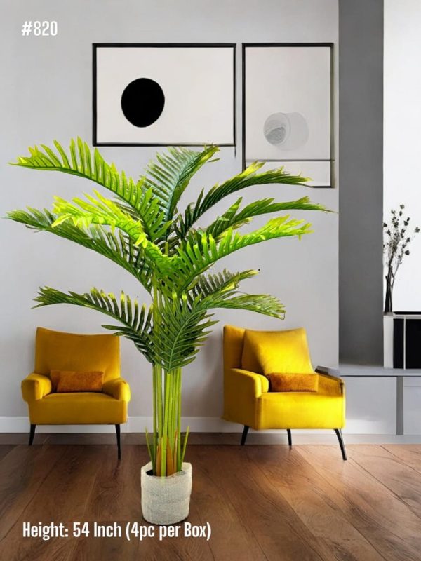 PLANTS AND PLANTERS
