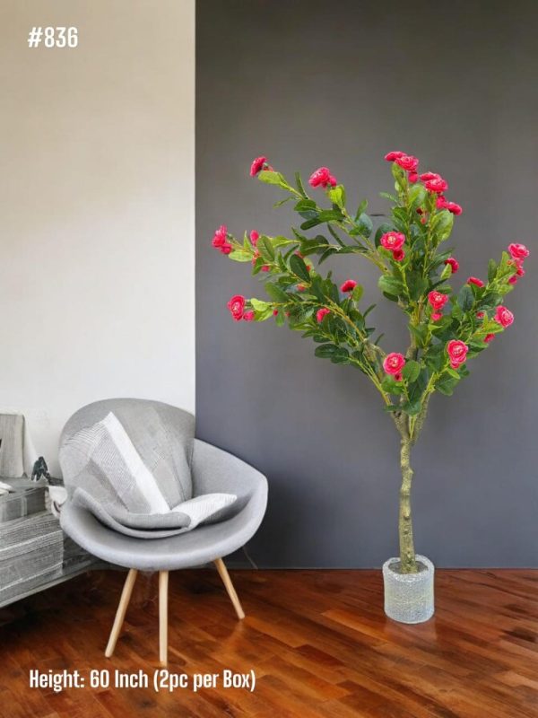 PLANTS AND PLANTERS