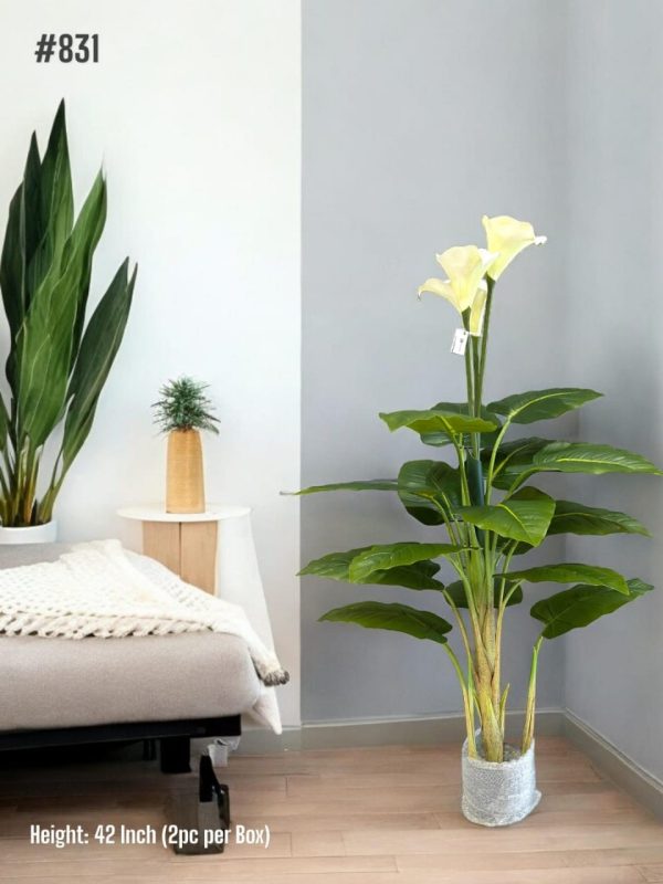 PLANTS AND PLANTERS