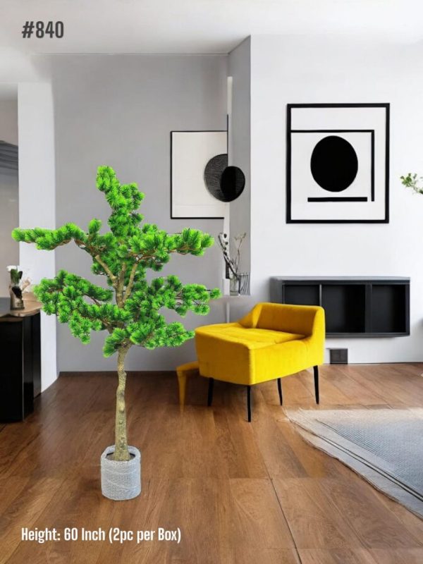 PLANTS AND PLANTERS