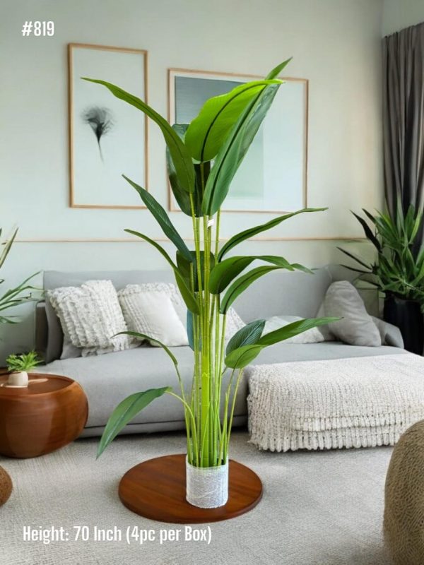 PLANTS AND PLANTERS